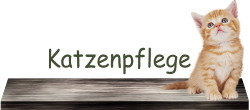 Katzenpflege2